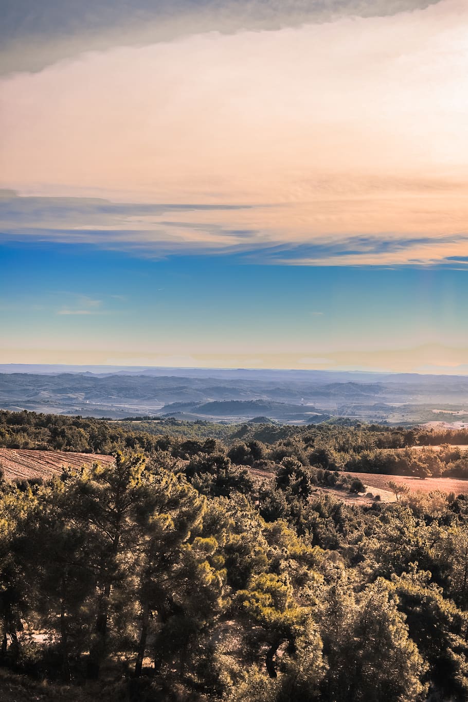 alberi dalle foglie verdi, bianca, nuvole, retroilluminato, nazione, campagna, alba, luce del giorno, crepuscolo, campo, collina, orizzonte, paesaggio, luce, carta da parati mobile, montagna, natura, all'aperto, panoramico, cielo, tramonto, viaggio, alberi, scenics - natura, bellezza nella natura, scena tranquilla, la tranquillità, nuvola - cielo, ambiente, nessuno, scena non urbana, idilliaco, pianta, albero, colore arancione, terra, a distanza, 5K