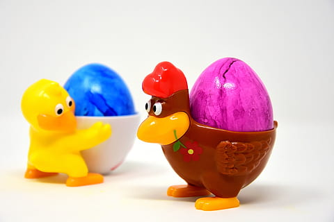 œuf de Pâques, poussins, poulet, coquetiers, marrant, coloré, printemps, Pâques, Couleur, La peinture, thème de Pâques, voeux de pâques, salutations de pâques, carte de voeux, décoration de pâques, mignonne, joyeuses Pâques, figure, oeufs colorés, oeufs de pâques teints, œufs de Pâques, oeufs bouillis, oeufs teints, jouet, canard en caoutchouc, prise de vue en studio, représentation, à l'intérieur, représentation animale, fond blanc, jaune, violet, groupe d'objets, personne, coupé, nature morte, fermer, aliments, bleu, oiseau, la créativité, Nourriture et boisson, 5K, CC0, domaine public, libre de droits