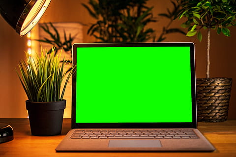 il computer portatile, computer, schermo verde, taccuino, ufficio, Internet, tecnologia, scrivania, macbook, tenere sotto controllo, influencer, pc, tecnologia wireless, comunicazione, connessione, schermo del computer, attrezzatura informatica, attività commerciale, pianta, tavolo, colore verde, computer fisso, nessuno, natura, rete di computer, Business aziendale, tastiera del computer, erba, tastiera, schermo a cristalli liquidi, vuoto, pianta della casa, 5K, CC0, dominio pubblico, privo di copyright