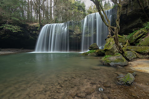 cascada, envoltat, arbres, arbre, aigua, escenics - natura, bellesa a la natura, exposició llarga, planta, aigua que flueix, moviment, naturalesa, bosc, moviment borrós, que flueix, dia, terra, cap gent, rock, medi ambient, rock - object, a l'aire lliure, selva tropical, poder a la natura, caient aigua, 8K, CC0, domini públic, lliure de regalies