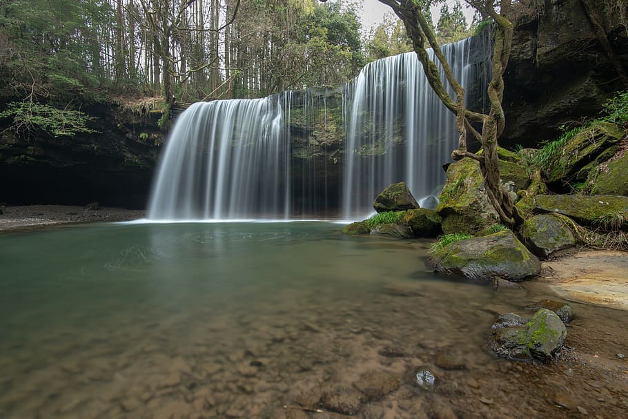 cascada, envoltat, arbres, arbre, aigua, escenics - natura, bellesa a la natura, exposició llarga, planta, aigua que flueix, moviment, naturalesa, bosc, moviment borrós, que flueix, dia, terra, cap gent, rock, medi ambient, rock - object, a l'aire lliure, selva tropical, poder a la natura, caient aigua, 8K