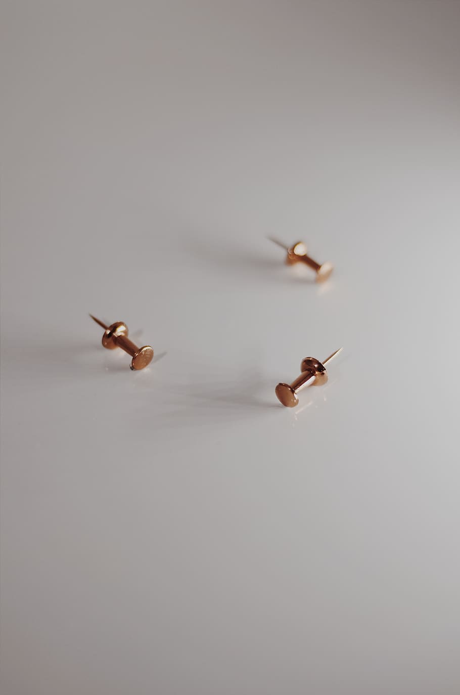tres tachuelas d'or, color, or, pins, agulles, agut, taula, tres, tàctils, fons blanc, temes d'animals, animal, còpia espai, volant, fauna animal, cap gent, animals a la natura, grup d’animals, a l'aire, a l'interior, naturalesa, ocell, vertebrats, bellesa a la natura, ombra, tallar, insecte, primer pla, Color blanc, 4K