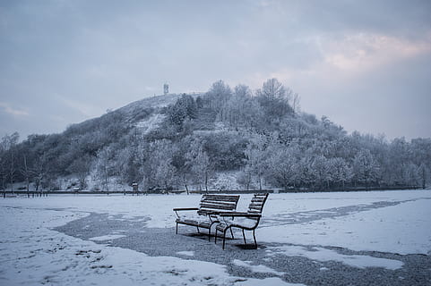 banc, hiver, bleu, du froid, neige, Montagne, la glace, la nature, congelé, ciel, gel, des arbres, colline, paysage, panorama, des nuages, en plein air, température froide, siège, vide, beauté dans la nature, paysages - nature, tranquillité, scène tranquille, arbre, absence, plante, personne, journée, couvrant, montagne au sommet enneigé, banc de parc, 4K, CC0, domaine public, libre de droits