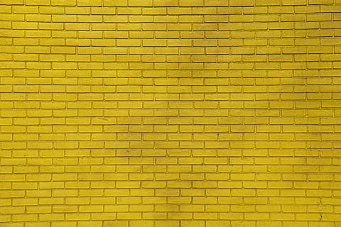 maons de paret grocs, fons, textura, marc complet, patró, groc, cap gent, funció de construcció de parets, arquitectura, estructura construïda, primer pla, disseny, sòls, paret, rajola, repetició, forma, a l'interior, color verd, material, efecte texturat, concret, 5K, CC0, domini públic, lliure de regalies