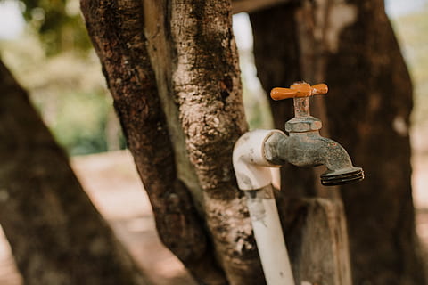 faucet, macro, panama, steel, tree, tree trunk, trunk, metal, close-up, focus on foreground, protection, no people, day, plant, outdoors, wood - material, nature, old, selective focus, security, safety, hanging, landscape, 5K, CC0, public domain, royalty free