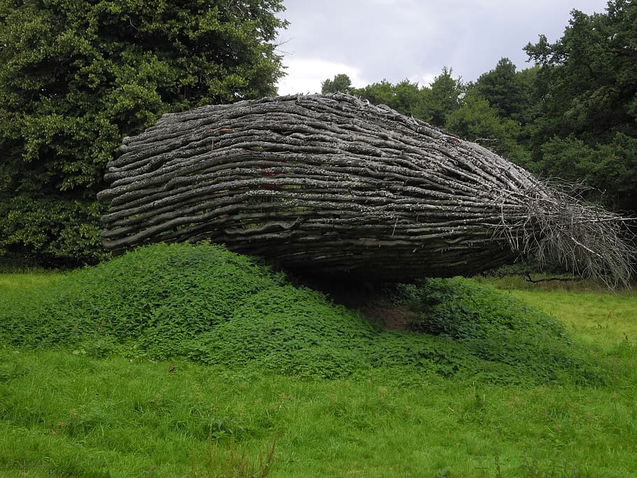 umění, strom, rostlina, zelená barva, růst, Příroda, přistát, tráva, nikdo, den, krása v přírodě, klid, pole, venku, klidné scény, nebe, listy, svěží zeleň, krajina, mimoměstské scény, scenics - příroda, živý plot, 1080P