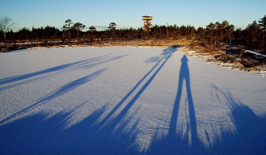 Foto, skygge, person, snowfield, kold, daggry, dagslys, miljø, Mark, Skov, pift, frost, frost-, Frosset, is, landskab, natur, udendørs, naturskøn, sæson, skygger, himmel, sne, solrig, rejse, træer, vejr, vinter, kold temperatur, plante, træ, sollys, vej, transportmidler, dag, ingen mennesker, jord, skønhed i naturen, scenics - natur, nåletræ, snedækket bjerg, 4K