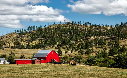 rot, hölzern, Schuppen, Ackerland, Scheune, Wolken, wolkig, Nadelbaum, Land, Tageslicht, Bauernhof, Bauernhaus, Zaun, Feld, Wald, Gras, Wiese, Landschaft, Berge, Ranch, szenisch, Lager, Bäume, wolke - himmel, die Architektur, gebaute Struktur, Pflanze, Baum, Himmel, Berg, Gebäudehülle, Schönheit in der Natur, Natur, Gebäude, Szenen - Natur, Nicht-städtische Szene, keine Leute, Wachstum, Umgebung, Tag, Hütte, 1080P, CC0, gemeinfrei, lizenzfrei