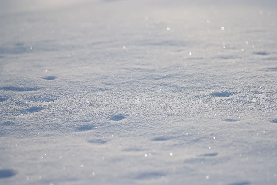 hvid sne, ingen mennesker, dag, ro, natur, skønhed i naturen, vinter, hvid farve, selektiv fokusering, fuld ramme, baggrunde, sne, jord, kold temperatur, vand, udendørs, sollys, strand, scenics - natur, 2K
