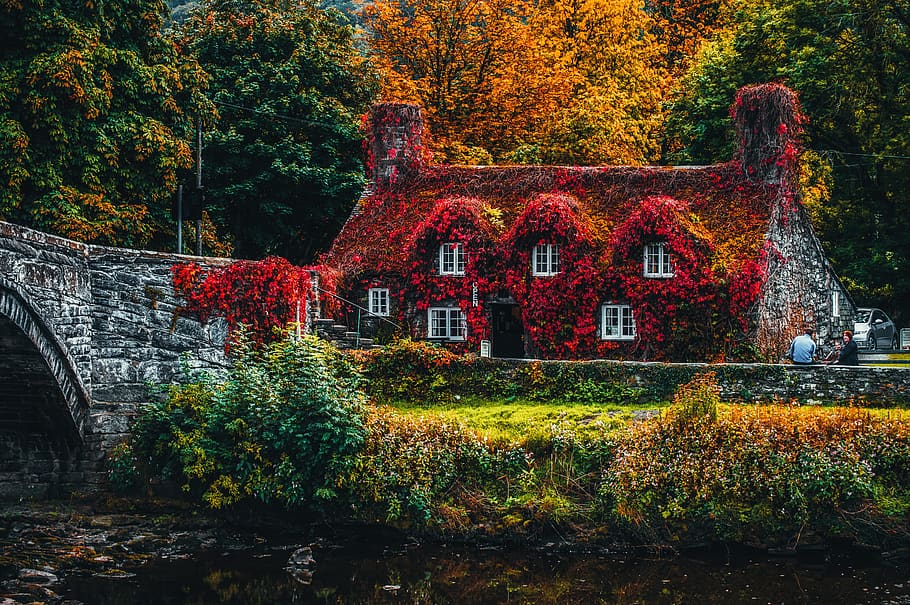 casa, cobert, vermell, planta amb flors, arquitectura, pont, la llum del dia, medi ambient, jardí, herba, fons de pantalla hd, paisatge, naturalesa, gent, plantes, escènic, temporada, arbres, aigua, arbre, planta, tardor, canvi, estructura construïda, cap gent, creixement, edifici, exterior de l'edifici, dia, bellesa a la natura, tranquil·litat, color taronja, jardí formal, a l'aire lliure, terra, multicolor, col·lecció de tardor, 5K