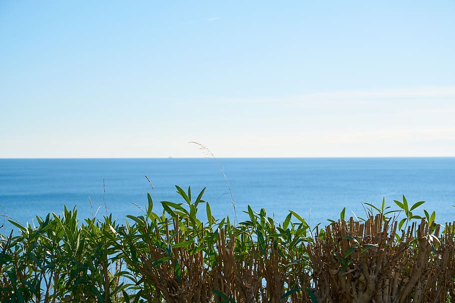 Welle, Wellen, Marine, Strand, tropisch, Urlaub, Reise, sauber, Ozean, Sand, Sommer-, Natur, Blau, Wasser, Landschaft, heiß, Hintergrund, Tourismus, Himmel, Pflanze, Grün, Meer, Horizont über Wasser, Horizont, Szenen - Natur, Schönheit in der Natur, Ruhe, ruhige Szene, Wachstum, Tag, keine Leute, Land, idyllisch, kopieren sie platz, klarer Himmel, 5K