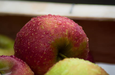 Äpfel, Apfel, Obst, fallen, Ernte, Essen und Trinken, Lebensmittel, Frische, gesundes Essen, Nahansicht, Wohlbefinden, keine Leute, Fokus auf den Vordergrund, drinnen, rot, reif, Gruppe von Objekten, Beerenfrucht, Erdbeere, selektiver Fokus, Studioaufnahme, Tropische Frucht, organisch, Süßes Essen, Litschi, 5K, CC0, gemeinfrei, lizenzfrei