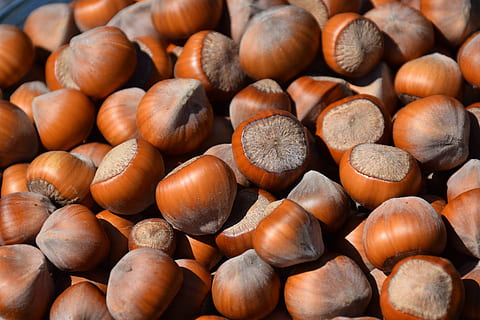 hazelnut, hazel, nuts, fruit, large group of objects, food and drink, full frame, food, brown, nut, nut - food, abundance, wellbeing, backgrounds, healthy eating, freshness, still life, close-up, no people, chestnut - food, high angle view, day, selective focus, 4K, CC0, public domain, royalty free