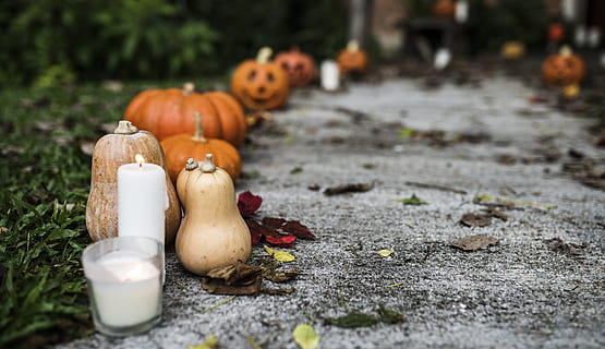 pompoen, kaars, grond, pad, blad, bokeh, vervagen, Verenigde staat, trick or treat, snoep of je leven, traditioneel, traditie, symbool, spookachtig, seizoen, eng, feest, oranje, oktober, lantaarn, herfst, halloween, groente, voedsel, natuur, hout - materiaal, decoratie, biologisch, versheid, koken, achtergronden, verschrikking, knoflook, rustiek, bruin, buitenshuis, 4K, CC0, publiek domein, royaltyvrij