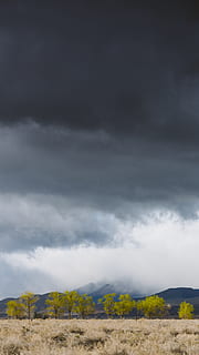 grønn, trær, grå, skyer, natur, utendørs, lone furu, vær, storm, forente stater, fritidsaktiviteter, eventyr, bygning, iphone, landskap, humørsyk, tre, bakgrunns, iPhone bakgrunnsbilde, sierra nevada, california, atmosfære, sky - himmel, himmel, miljø, skjønnhet i naturen, naturskjønnhet - natur, rolig scene, ingen folk, ro, land, ikke-urbane scene, felt, overskyet, dag, stormsky, anlegg, kraft i naturen, illevarslende, 5K, CC0, offentlig domene, opphavsrett gratis