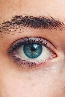 occhio, blu, iris, vista, parte del corpo umano, ciglio, parte del corpo, occhio umano, percezione sensoriale, avvicinamento, una persona, guardando la fotocamera, ritratto, volto umano, bulbo oculare, sopracciglio, pelle umana, pelle, iride - occhio, persone reali, primo piano estremo, palpebra, adolescente, 1080P, CC0, dominio pubblico, privo di copyright