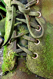 Stiefel, alt, Moos, Leder, draussen, Jahrgang, Metall, rostig, Nahansicht, keine Leute, Tag, grüne Farbe, Ablehnen, heruntergewirtschaftet, verwittert, obsolet, Verschlechterung, Kette, verlassen, Pflanze, Natur, draußen, texturiert, beschädigt, Rad, Eisen - Metall, Eisen, 4K, CC0, gemeinfrei, lizenzfrei
