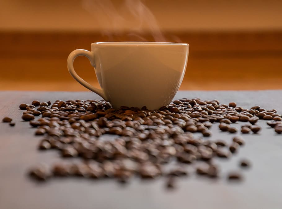 blanc, ceràmica, tassa de te, fuma, envoltat, grans de cafè, selectiu, focalitzar la fotografia, aroma, aromàtic, mongeta, mongetes, begudes, negre, borrós, marró, cafeïna, cappuccino, xocolata, primer pla, cafè, tassa de cafè, beguda de cafè, tassa, fosc, deliciós, beure, espresso, menjar, calenta, perfum, vapor, natura morta, menjar i beguda, cafè - beguda, gra de cafè torrat, refresc, enfocament selectiu, frescor, cap gent, beguda calenta, a l'interior, cafeteria, taula, llavor, esmorzar, latte, vaixella, petit, 4K