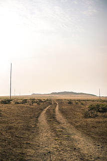 Straße, getrocknet, Rasenplatz, Schotterstraße, Kies, Vereinigte Staaten, Point Reyes National Seashore, Inverness, Boden, braun, Umgebung, Landschaft, Himmel, Transport, Gras, Horizont über Land, Land, Szenen - Natur, Natur, keine Leute, Schmutz, Feld, der Weg nach vorn, Richtung, Ruhe, ruhige Szene, Horizont, Pflanze, draußen, halbtrocken, Klima, 5K, CC0, gemeinfrei, lizenzfrei