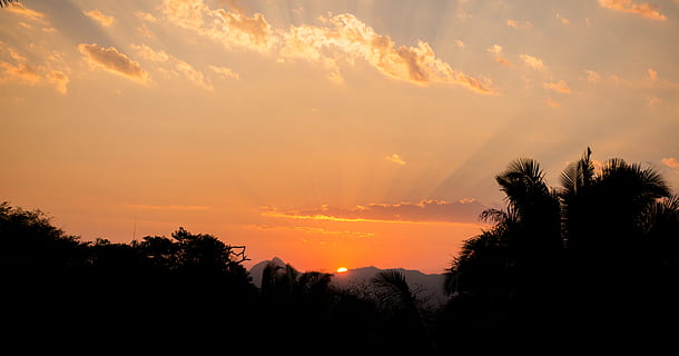 posta de sol, retroil·luminat, núvols, alba, idíl·lic, naturalesa, plantes, escènic, cel, sortida del sol, tranquil, arbres, planta, arbre, bellesa a la natura, escenics - natura, núvol - cel, silueta, color taronja, tranquil·litat, escena tranquil·la, creixement, cap gent, escena no urbana, medi ambient, paisatge, a l'aire lliure, terra, cel romàntic, 4K, CC0, domini públic, lliure de regalies