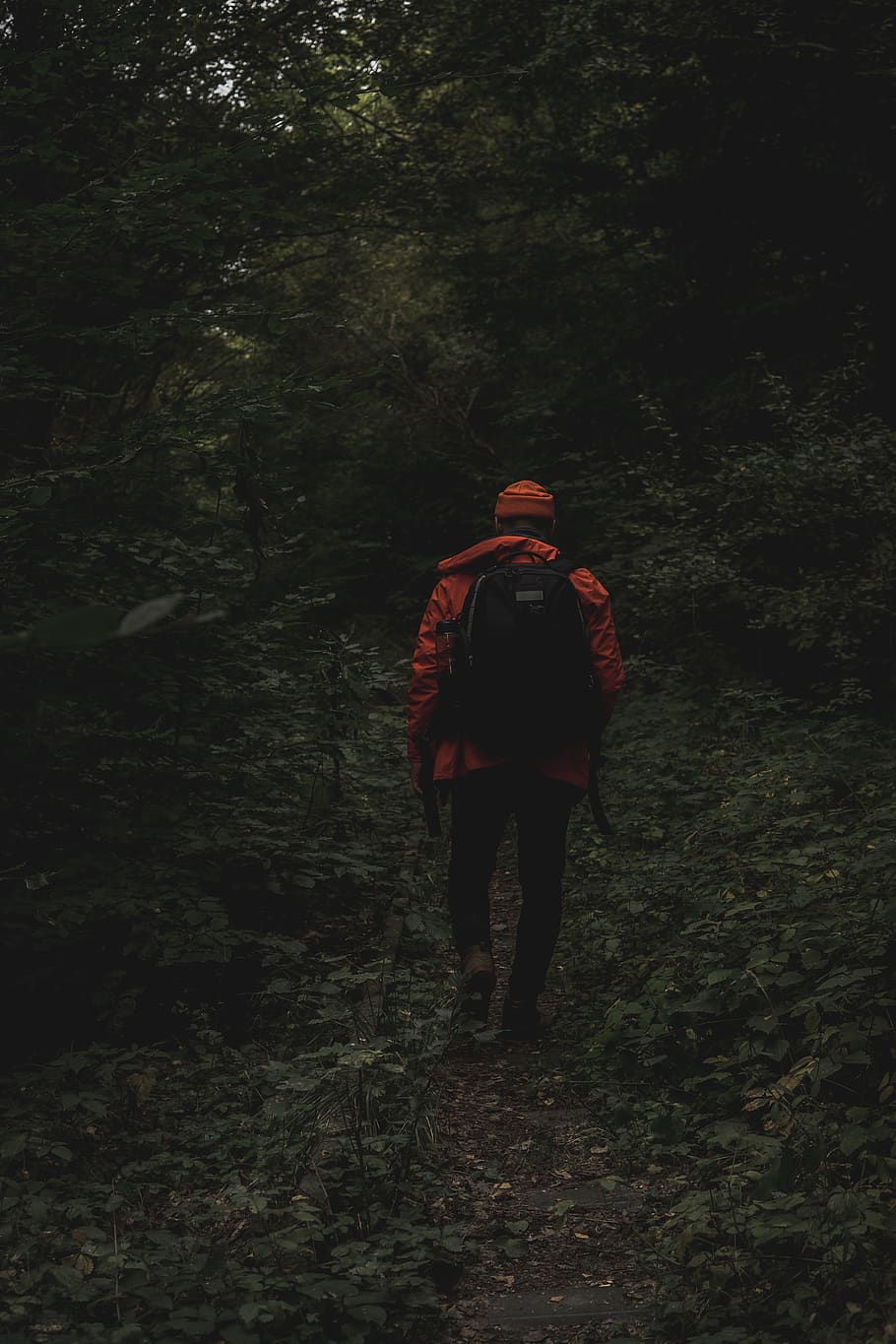 mand, gå, træer, beklædning, tøj, person, human, frakke, Tyskland, overfrakke, jakke, rheinland pfalz, plante, træ, vandring, udendørs, landskab, lonley, natur, vejr, abies, bagfra, fuld længde, jord, Skov, fritidsaktivitet, rigtige mennesker, en person, eventyr, aktivitet, livsstil, ferier, ferie, rejse, rygsæk, sti, 4K