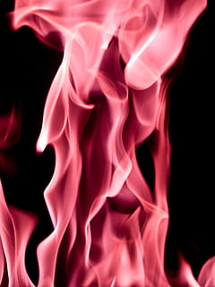 flammes, vacillant, Feu, brûlant, étude, énergie, brillant, coloré, embrasé, éclairage, chaleur, lueur, éclater, dessins, formes, chaud, rose, fond noir, mouvement, prise de vue en studio, abstrait, fermer, personne, à l'intérieur, modèle, fumée - structure physique, couleur rose, la nature, courbe, arrière-plans, tourbillon, texturé, environnement, vulnérabilité, mouvement flou, changer de forme, 2K, CC0, domaine public, libre de droits