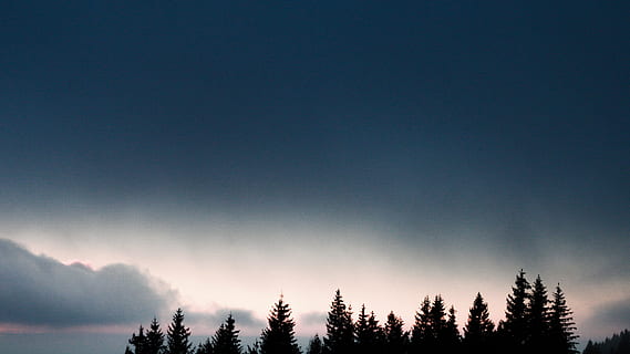 borovice, Šedá, mraky, rostlina, strom, abies, jedle, jehličnatý strom, západ slunce, Příroda, venkov, venku, setmění, modrá hodina, cantal, modrý, temný, smrk, silueta, slunečního světla, sklon, nebe, krása v přírodě, scenics - příroda, les, klidné scény, klid, životní prostředí, nikdo, mrak - nebe, kopie prostor, přistát, hora, krajina, jehličnatého stromu, borové lesy, meteorologie, 5K, CC0, veřejná doména, bez autorských práv