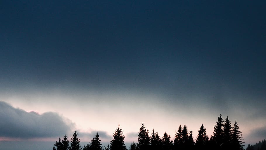 borovice, Šedá, mraky, rostlina, strom, abies, jedle, jehličnatý strom, západ slunce, Příroda, venkov, venku, setmění, modrá hodina, cantal, modrý, temný, smrk, silueta, slunečního světla, sklon, nebe, krása v přírodě, scenics - příroda, les, klidné scény, klid, životní prostředí, nikdo, mrak - nebe, kopie prostor, přistát, hora, krajina, jehličnatého stromu, borové lesy, meteorologie, 5K