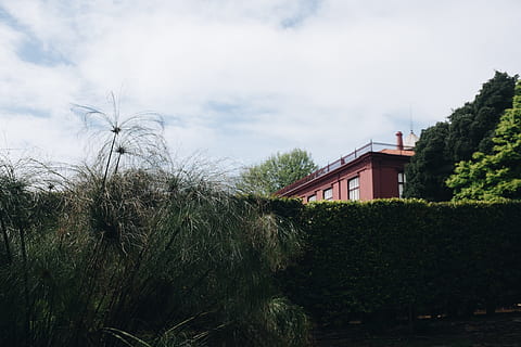 photo, green, grass plant, clouds, daylight, environment, landscape, nature, sky, trees, architecture, built structure, building exterior, plant, building, tree, cloud - sky, house, no people, residential district, growth, day, outdoors, water, green color, grass, roof, land, 4K, CC0, public domain, royalty free
