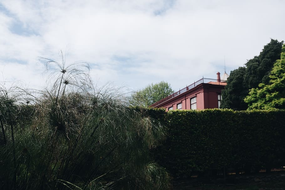 Foto, grøn, græsplante, skyer, dagslys, miljø, landskab, natur, himmel, træer, arkitektur, bygget struktur, bygning udvendig, plante, bygning, træ, sky - himmel, hus, ingen mennesker, boligområde, vækst, dag, udendørs, vand, grøn farve, græs, tag, jord, 4K