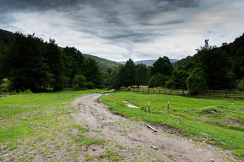 ländliches Gebiet, Bauernhof, Bäume, Pflanze, Baum, wolke - himmel, grüne Farbe, Schönheit in der Natur, Himmel, ruhige Szene, Gras, Szenen - Natur, Ruhe, Wachstum, Natur, keine Leute, Land, Umgebung, Landschaft, Feld, Tag, Nicht-städtische Szene, idyllisch, draußen, 5K, CC0, gemeinfrei, lizenzfrei