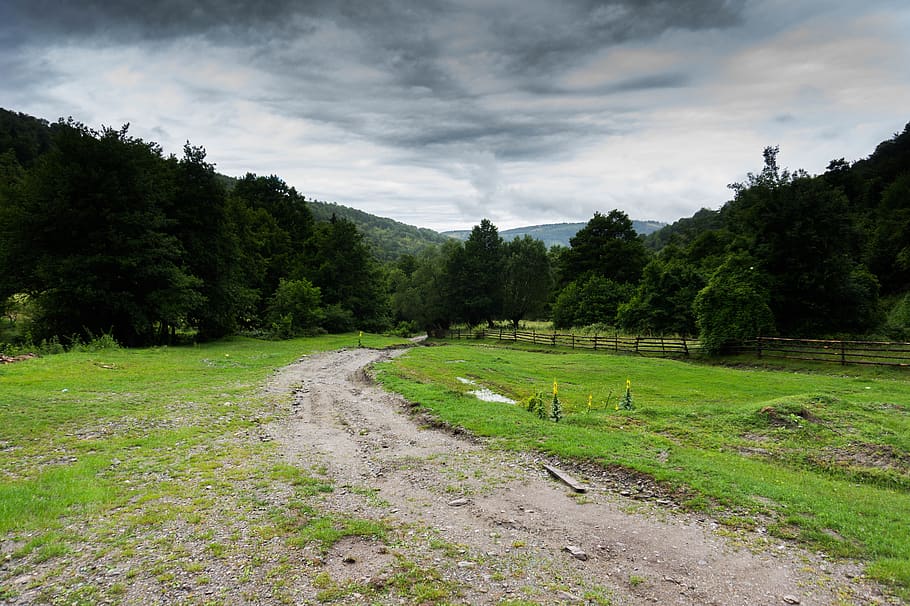 venkovské oblasti, hospodařit, stromy, rostlina, strom, mrak - nebe, zelená barva, krása v přírodě, nebe, klidné scény, tráva, scenics - příroda, klid, růst, Příroda, nikdo, přistát, životní prostředí, krajina, pole, den, mimoměstské scény, idylický, venku, 5K