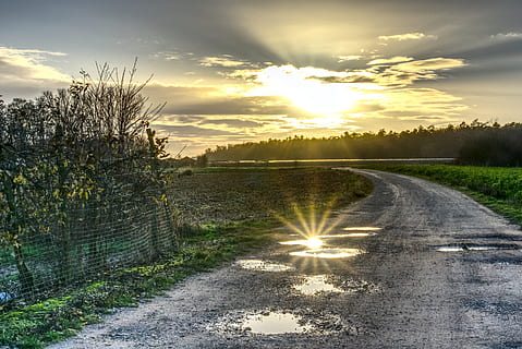 puddle, backlighting, mirroring, reflection, dazzling star, sun, sunset, lane, forest path, gravel, stone, water, landscape, clouds, light, sky, mood, abendstimmung, hdr, high dynamic range, contrast, cloud - sky, sunlight, plant, beauty in nature, tranquility, nature, road, tranquil scene, sunbeam, tree, direction, the way forward, scenics - nature, no people, growth, lens flare, outdoors, 5K, CC0, public domain, royalty free