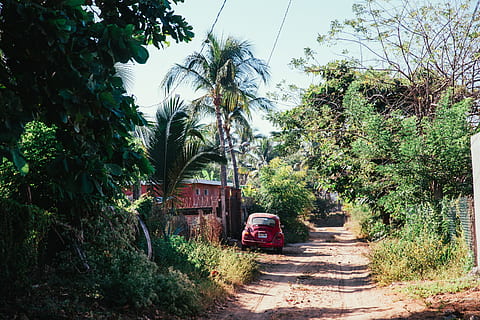 strada sterrata, verdura, nube, nuvole, sporco, guidare, verde, terra, paesaggio, sentiero, pianta, foresta pluviale, sabbia, cielo, sole, luce del sole, albero, alberi, viaggio, tropicale, passerella, natura selvaggia, boschi, scarafaggi auto, Noce di cocco, campagna, fogliame, foresta, erba, Casa, lussureggiante, naturale, natura, all'aperto, palma, strada, rurale, scena, estate, mezzi di trasporto, tropico, sterrata, modo, selvaggio, modo di trasporto, veicolo terrestre, veicolo a motore, auto, giorno, crescita, colore verde, nessuno, architettura, struttura costruita, abbandonato, obsoleto, 2K, CC0, dominio pubblico, privo di copyright