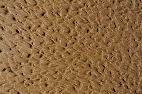 abstract, line, designed, water, sand texture, beach, sand, background, texture, pattern, backgrounds, full frame, textured, brown, close-up, no people, beige, textile, indoors, still life, repetition, directly above, extreme close-up, art and craft, detail, material, creativity, rough, studio shot, 5K, CC0, public domain, royalty free