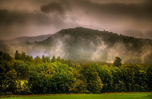 Wald, grau, Wolken, dunkle Wolken, Dämmerung, Umgebung, Bauernhof, Feld, Nebel, Gras, Wachstum, Landschaft, Licht, Berg, Natur, Regen, szenisch, Sturm, Bäume, Wetter, Pflanze, Baum, Szenen - Natur, Schönheit in der Natur, Himmel, ruhige Szene, wolke - himmel, Ruhe, keine Leute, Land, Nicht-städtische Szene, draußen, grüne Farbe, 2K, CC0, gemeinfrei, lizenzfrei