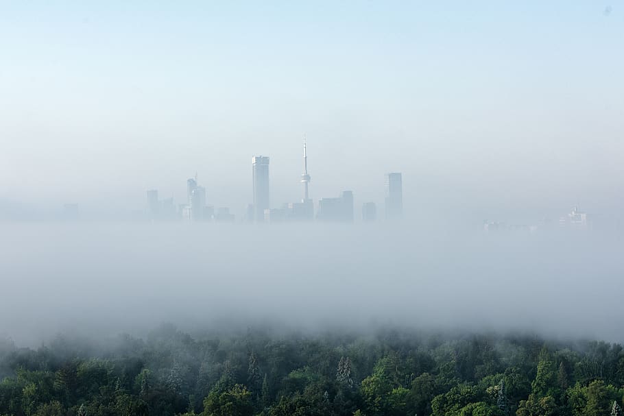 Canadà, toronto, arbres, ennuvolat, místic, vista, horitzó, ciutat, boira, myst, verd, arquitectura, estructura construïda, exterior de l'edifici, edifici, paisatge, medi ambient, arbre, naturalesa, cel, planta, cap gent, dia, a l'aire lliure, al matí, paisatge urbà, bellesa a la natura, exterior d’edifici d’oficines, smog, gratacels, Pol · lució, modern, contaminació de l'aire, nebulós, 5K