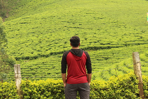India, munnar, una persona, colore verde, pianta, crescita, persone reali, retrovisore, terra, tre quarti, abbigliamento casual, paesaggio, in piedi, bellezza nella natura, stili di vita, natura, attività di svago, giorno, campo, la tranquillità, scenics - natura, ambiente, all'aperto, 5K, CC0, dominio pubblico, privo di copyright
