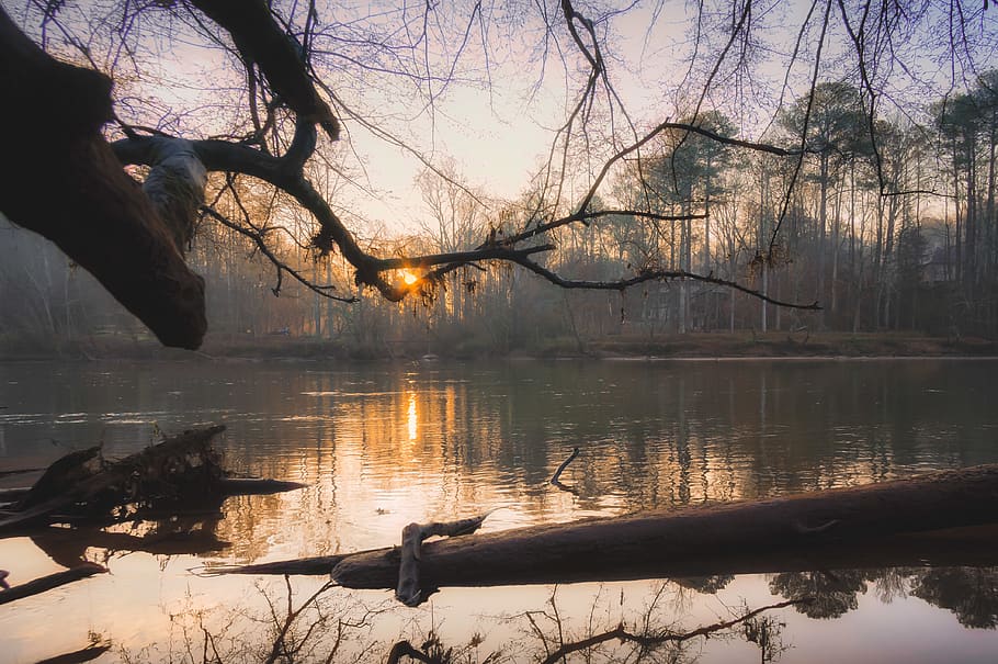 sortida del sol, riu, reflexió, arbres, al matí, direcció incorrecta, chattahoochee, aigua, arbre, llac, arbre nu, naturalesa, branca, planta, cel, bellesa a la natura, tranquil·litat, escenics - natura, escena tranquil·la, cap gent, a l'aire lliure, llum solar, arquitectura, posta de sol, 4K