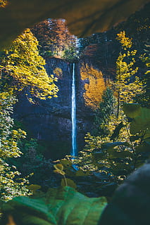cascate, circondato, alberi, cascata, albero, foglia, le foglie, scogliera, roccia, all'aperto, natura, foresta, bosco, voglia di girovagare, ruscello, fiume, Paesaggi, paesaggio, acqua, bellezza nella natura, colore verde, roccia - oggetto, montagna, autunno, estate, viaggio, scena tranquilla, muschio, acqua corrente, primavera, freschezza, caduta, nessuno, luce del sole, pianta, ambiente, multicolore, colore vibrante, parco - spazio creato dall'uomo, blu, stagione, fluente, posto famoso, 5K, CC0, dominio pubblico, privo di copyright