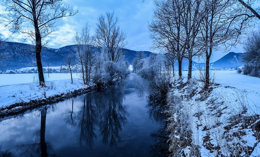 riu, neu, hivern, arbres, paisatge, Camí, aurora, núvols, escènic, val de travers, neuchatel, arbre, planta, temperatura de fred, bellesa a la natura, arbre nu, escenics - natura, tranquil·litat, aigua, escena tranquil·la, naturalesa, cap gent, cel, terra, escena no urbana, dia, cobertura, a l'aire lliure, 5K