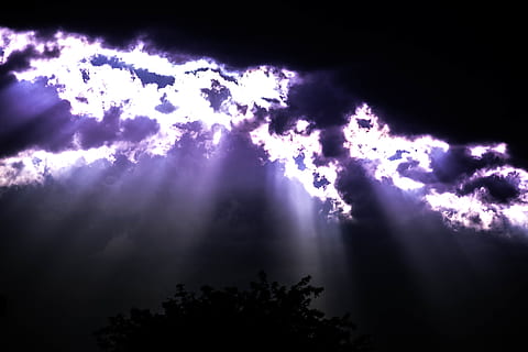 arbre, fosc, ombres, llum, feix de llum, biga, raigs, raigs de llum, núvol, núvols, coberta de núvols, feixos de llum, brilli, brillant, hd, hd background, fons de pantalla hd, fons de pantalla, fons, negre, núvol - cel, cel, bellesa a la natura, vista d’angle baix, naturalesa, escenics - natura, tempesta, cap gent, tranquil·litat, cloudscape, a l'aire lliure, planta, cel dramàtic, silueta, raig de sol, porpra, ominós, meteorologia, poder a la natura, 5K, CC0, domini públic, lliure de regalies
