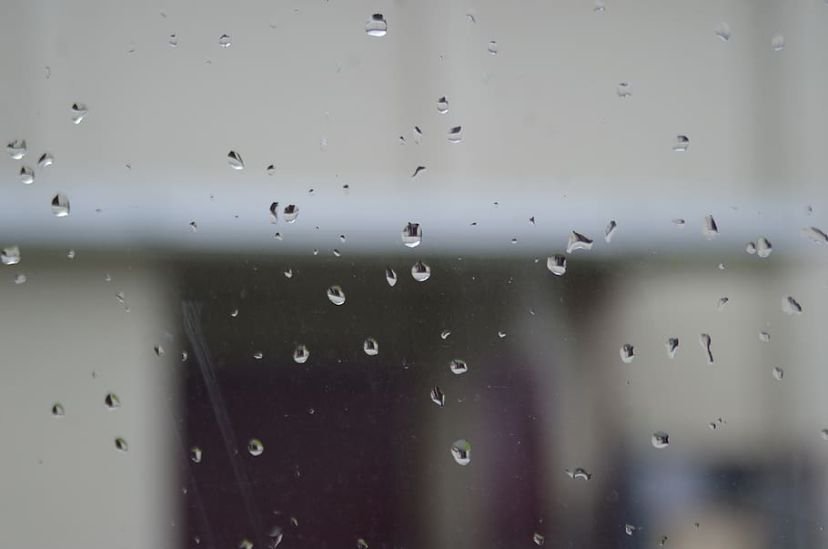 Canadà, langley, tirar, humit, aigua, pluja, vidre - material, transparent, finestra, a l'interior, cap gent, primer pla, naturalesa, centrar-se en primer pla, gota de pluja, temporada de pluges, marc complet, fons, dia, 4K