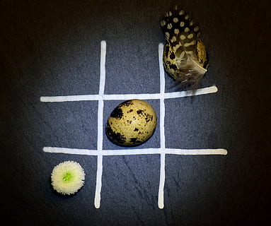 uovo, uova di quaglia, giocare, Pasqua, fiore, fiore di oche, piuma, gioco di Pasqua, veloce, gioco d'azzardo, buio, centro, illuminato, natura, avvicinamento, cibo, macchiato, ardesia, nero, auguri di Pasqua, natura morta, cibo e bevande, freschezza, nessuno, in casa, mangiare sano, frutta, vista dall'alto, benessere, tavolo, direttamente sopra, palla, pianta, pavimentazione, girato in studio, colore verde, sport, 4K, CC0, dominio pubblico, privo di copyright