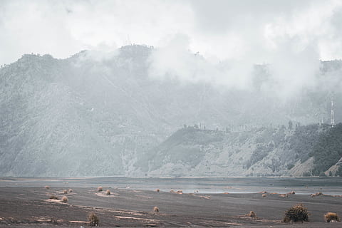 fogs over mountains, fog, beauty in nature, scenics - nature, tree, day, land, mountain, tranquility, tranquil scene, non-urban scene, nature, landscape, environment, cloud - sky, no people, plant, cold temperature, winter, sky, outdoors, 5K, CC0, public domain, royalty free