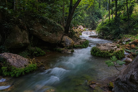 river between forest, cascade, environment, flow, landscape, moss, mothernature, motion, nature park, nature reserve, rapids, scenic, stream, waterfall, tree, forest, plant, rock, scenics - nature, beauty in nature, water, rock - object, long exposure, solid, land, flowing water, nature, blurred motion, non-urban scene, growth, flowing, no people, outdoors, rainforest, power in nature, stream - flowing water, 5K, CC0, public domain, royalty free