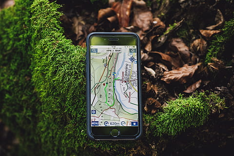 prostor, šedá, Iphone 6, ukazující, map, elektronika, gps, rostlina, flóra, mech, Německo, böhming, kipfenberg, červený Vlk, vlk, savec, psí, zvíře, plantážník, sklenice, byliny, váza, hrnčířství, hrnkové rostliny, telefon, sdělení, bezdrátové technologie, mobilní telefon, přenosné informační zařízení, chytrý telefon, technologie, Příroda, zelená barva, zastoupení, detail, obrazovka, růst, venku, lidské zastoupení, text, nikdo, den, strom, obrazovky přístroje, 5K, CC0, veřejná doména, bez autorských práv