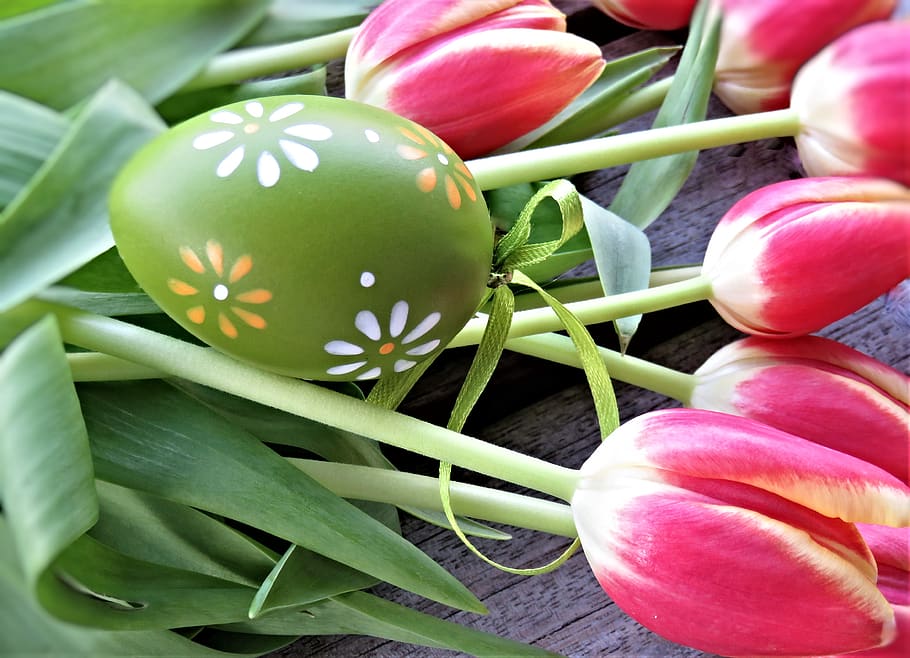 tulipes, ou de Pasqua, flors, Pasqua, ram de tulipa, flors tallades, ou de gallina, pintat, decoració de pasqua, personalitzat, tradició, primer pla, celebració, color verd, cap gent, planta, multicolor, festa, ou, menjar, naturalesa, color rosa, decoració, frescor, natura morta, menjar i beguda, vulnerabilitat, 4K