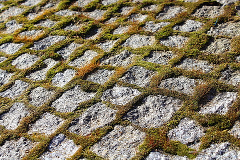 Würfel, Pflaster, Modell-, Textur, abstrakt, Vollbild, Hintergründe, keine Leute, texturiert, Muster, Tag, Nahansicht, Natur, Rau, Moos, solide, draußen, Rock, Land, Rock - Objekt, Schnee, High Angle View, Winter, Wachstum, Feld, Flechte, 5K, CC0, gemeinfrei, lizenzfrei