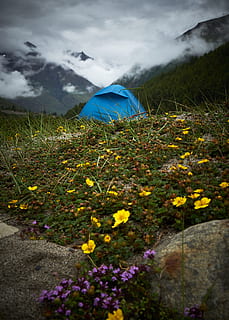 telt, midten, blomster, bjerg, Sky, Mark, blomst, græs, Camping, blå, storm, udendørs levende, natur, tåge, eventyr, udforske, Himachal, ødemark, udendørs, landskab, scenics, sommer, himmel, eng, skønhed i naturen, sky - himmel, grøn farve, ingen mennesker, rejse, forår, rolig scene, dag, nat, miljø, 2K, CC0, offentligt domæne, royaltyfrie